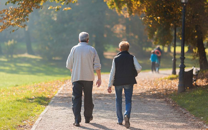 NUTRICIÓ CEREBRAL I DIABETIS