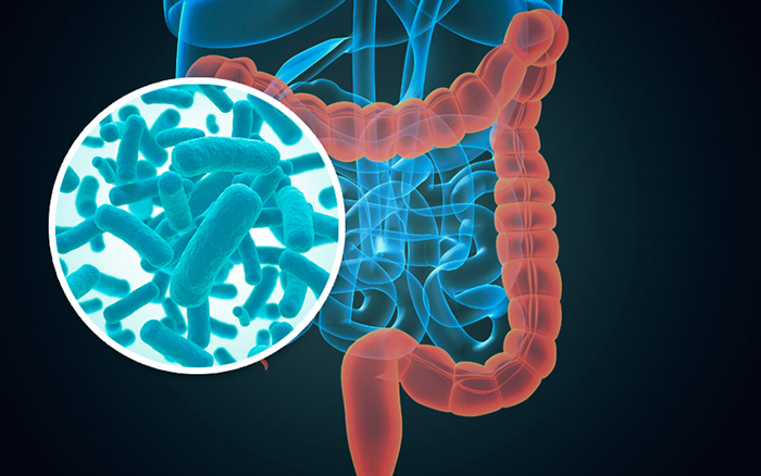 Microbiota intestinal en Diabetes T1 y Diabetes T2